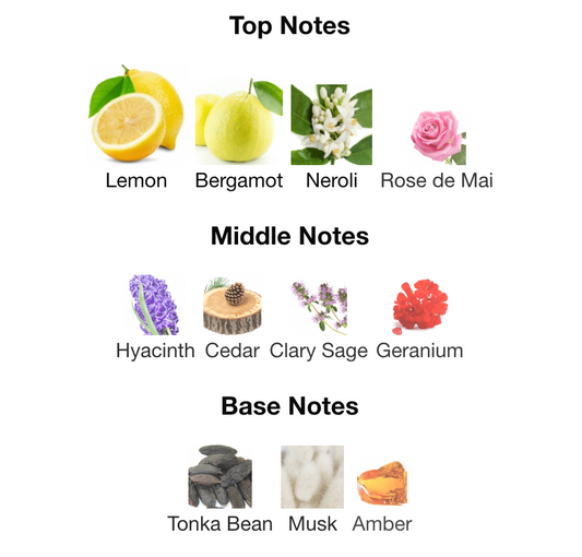 Versace Hommee (vph)