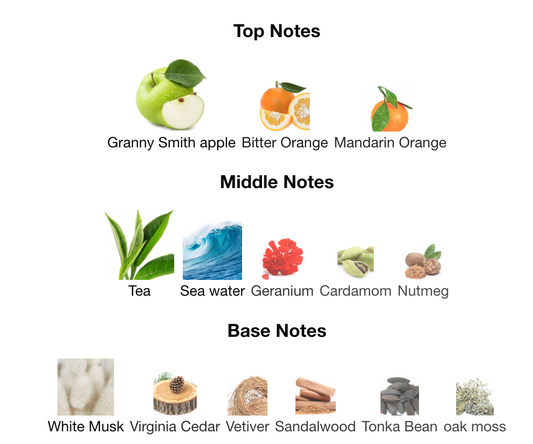 Jaguar Nomade (J.Classic Black)