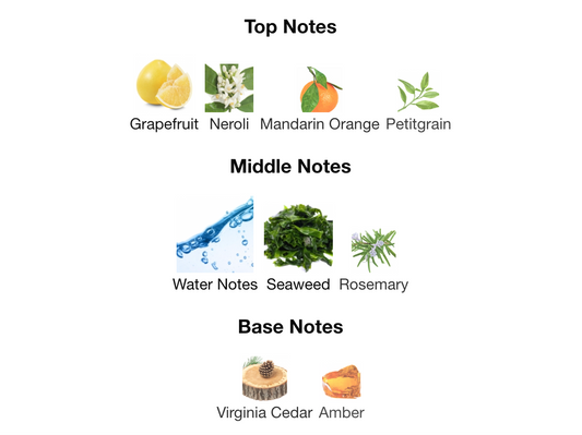 AQUA BLUE (Air Freshener)