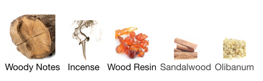BAKHOOR OUD (Air Freshener)