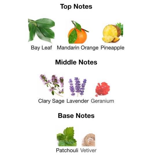 FRESH FLORAL (Air Freshener)