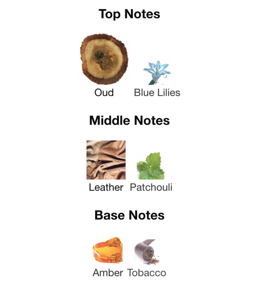 THE NIGHT - الليل