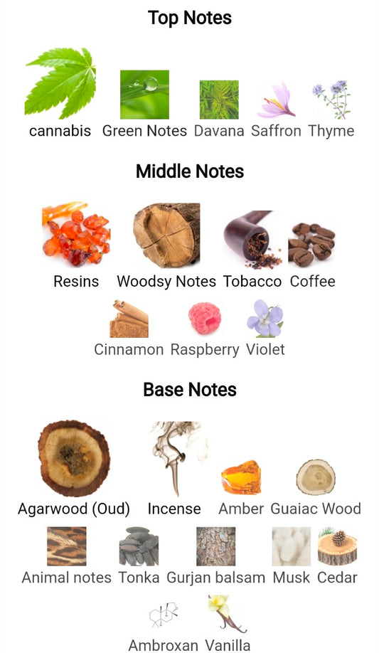 BIN-SHEIKH بن الشيخ