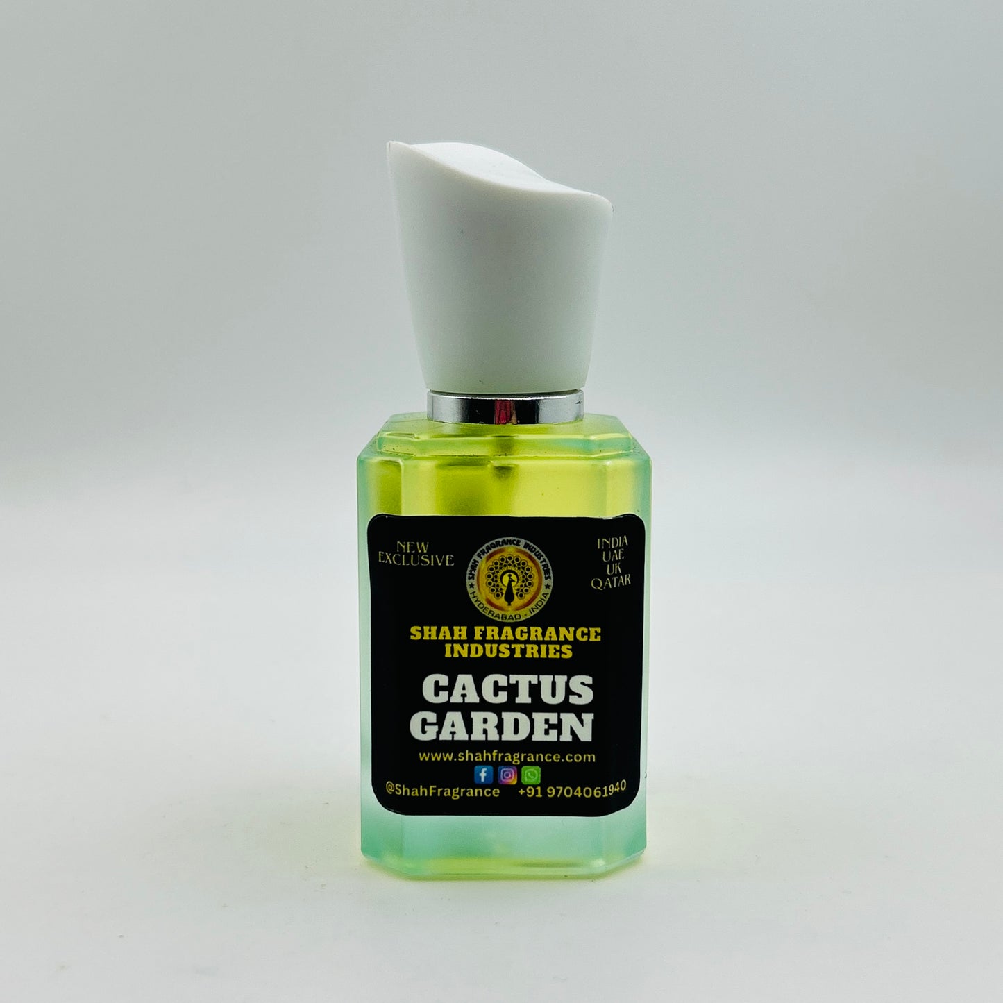 Cactus Garden By LV