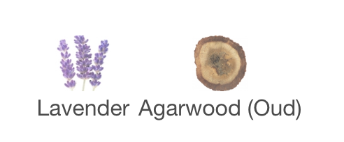 LAVANDER & OUD [Special Edition]